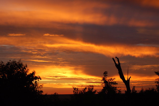 African sunset